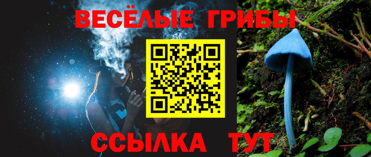 Галлюциногенные грибы Cubensis Великий Новгород